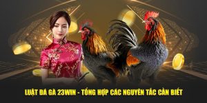 luật đá gà 23win tổng hợp các nguyên tắc cần biết